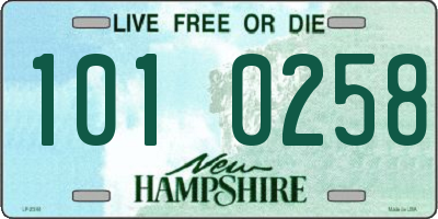 NH license plate 1010258