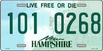 NH license plate 1010268