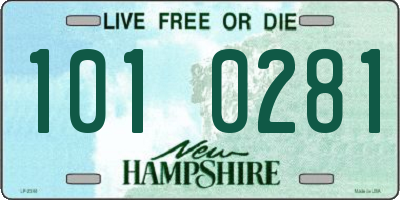 NH license plate 1010281