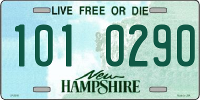 NH license plate 1010290