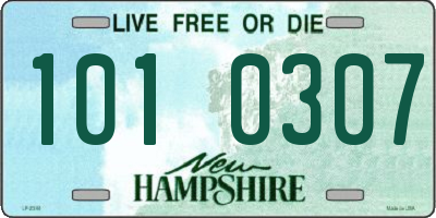 NH license plate 1010307