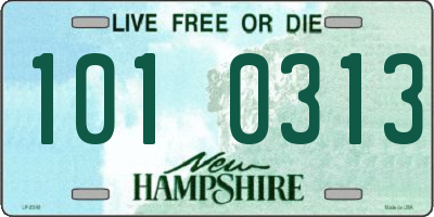 NH license plate 1010313