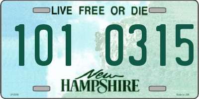 NH license plate 1010315