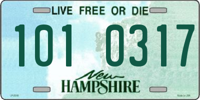 NH license plate 1010317