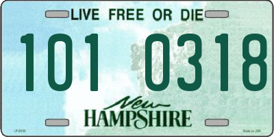 NH license plate 1010318