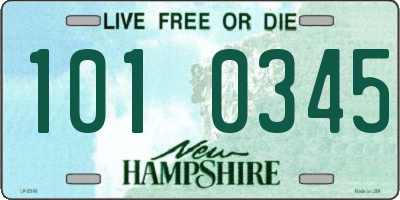 NH license plate 1010345