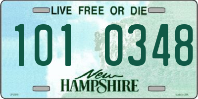 NH license plate 1010348