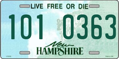 NH license plate 1010363