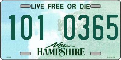 NH license plate 1010365