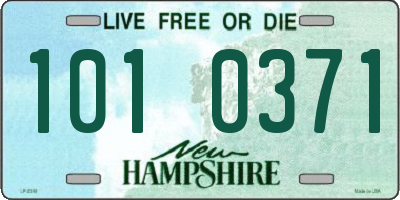 NH license plate 1010371