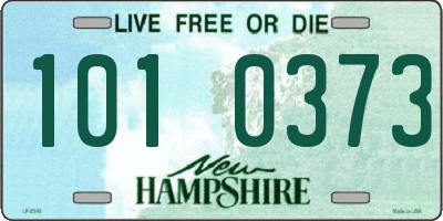 NH license plate 1010373