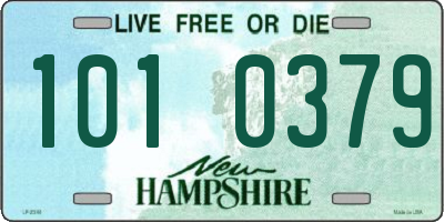 NH license plate 1010379