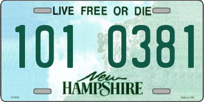 NH license plate 1010381