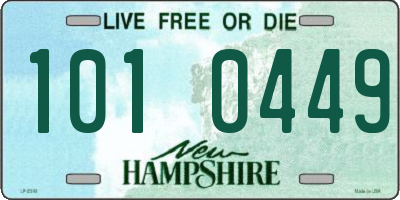 NH license plate 1010449