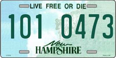 NH license plate 1010473