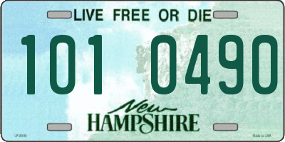 NH license plate 1010490