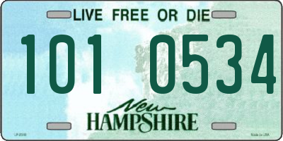 NH license plate 1010534