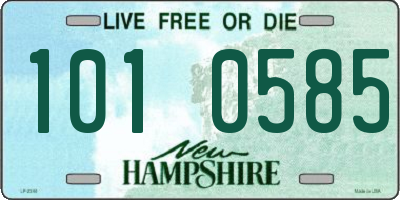 NH license plate 1010585