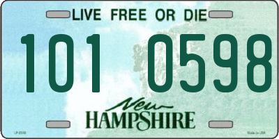 NH license plate 1010598