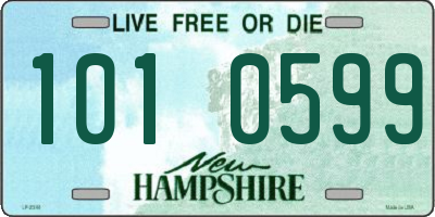 NH license plate 1010599