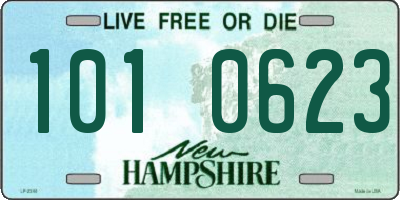 NH license plate 1010623