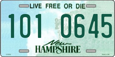 NH license plate 1010645