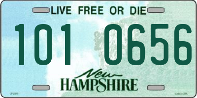 NH license plate 1010656