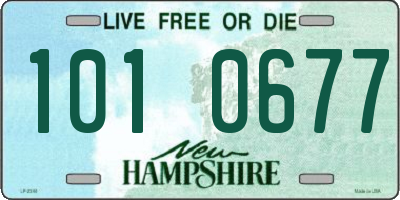 NH license plate 1010677