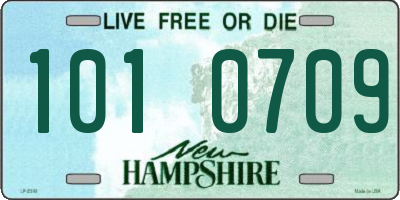 NH license plate 1010709