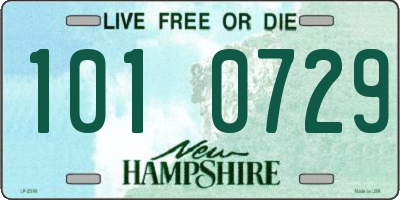 NH license plate 1010729