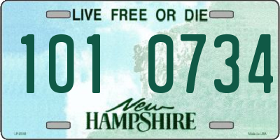 NH license plate 1010734