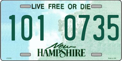 NH license plate 1010735