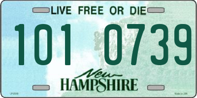 NH license plate 1010739