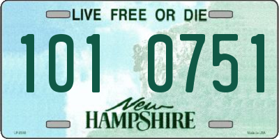 NH license plate 1010751