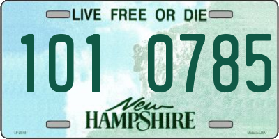 NH license plate 1010785