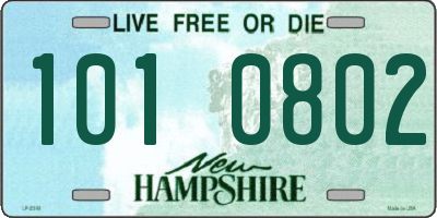 NH license plate 1010802