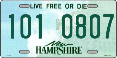 NH license plate 1010807