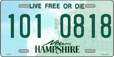 NH license plate 1010818