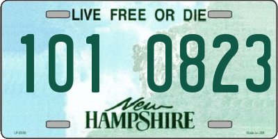 NH license plate 1010823