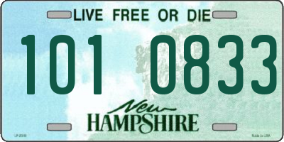 NH license plate 1010833