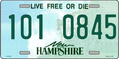 NH license plate 1010845