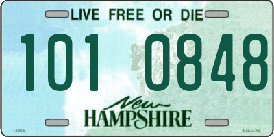 NH license plate 1010848