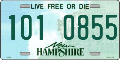 NH license plate 1010855