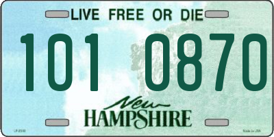 NH license plate 1010870