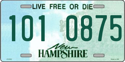 NH license plate 1010875