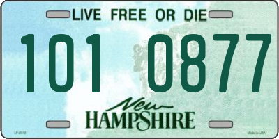 NH license plate 1010877