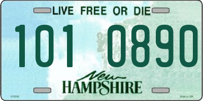 NH license plate 1010890