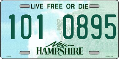 NH license plate 1010895