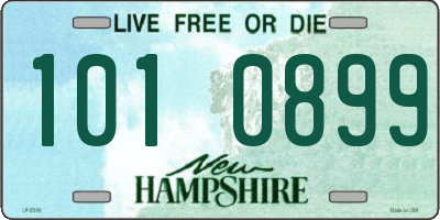 NH license plate 1010899