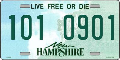 NH license plate 1010901